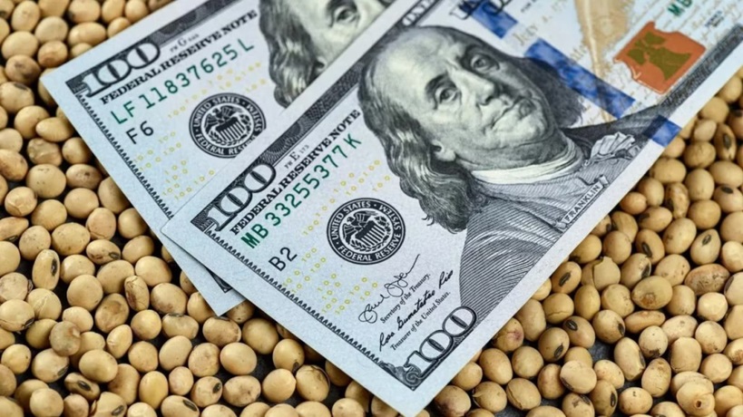 dólar libre